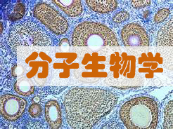 分子生物學(xué)服務(wù)