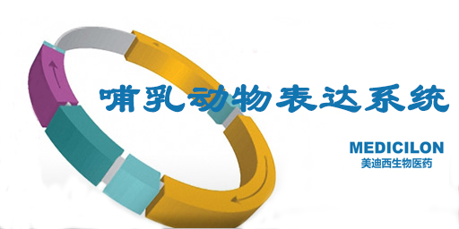 哺乳動(dòng)物表達(dá)系統(tǒng)