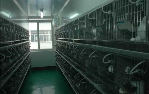 美迪西實(shí)驗(yàn)動(dòng)物房