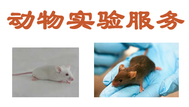 美迪西動(dòng)物實(shí)驗(yàn)外包服務(wù)