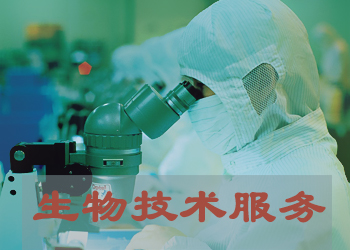 美迪西生物實(shí)驗(yàn)技術(shù)服務(wù)外包