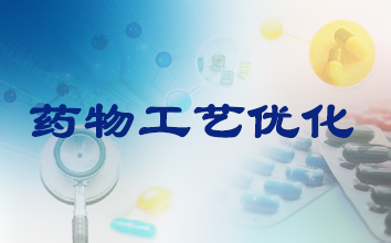 美迪西制藥工藝優(yōu)化服務(wù)