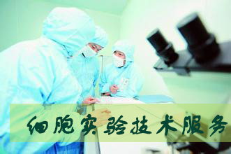 美迪西細(xì)胞實驗服務(wù)外包