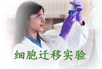 細胞遷移實驗服務(wù)