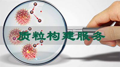 美迪西質(zhì)粒構(gòu)建服務(wù)