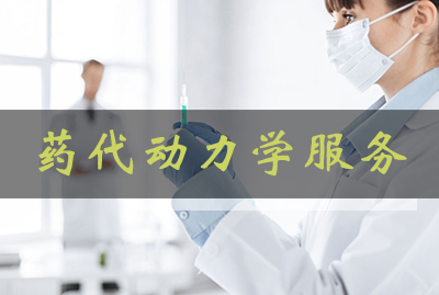 美迪西藥代動力學(xué)服務(wù)