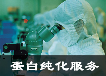 蛋白純化服務(wù)公司