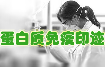 蛋白質(zhì)免疫印跡實驗