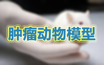 腫瘤動(dòng)物模型