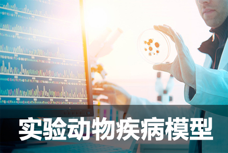 實(shí)驗(yàn)動(dòng)物疾病模型