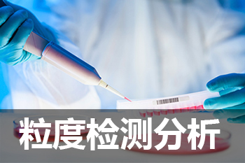 美迪西粒度分析檢測(cè)服務(wù)