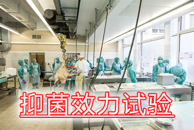 抑菌效力試驗(yàn)