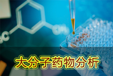 美迪西大分子藥物分析服務(wù)