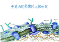 美迪西的藥物轉(zhuǎn)運(yùn)體研究