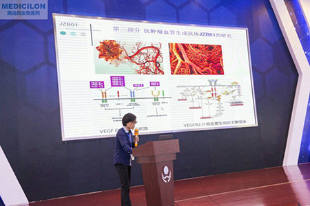 中國藥科大學(xué)張娟副教授作抗腫瘤血管生成抗體JZB01研究報告