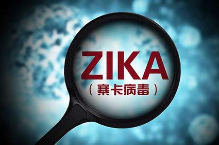 中國科學(xué)家寨卡病毒藥物靶點(diǎn)研究獲新突破
