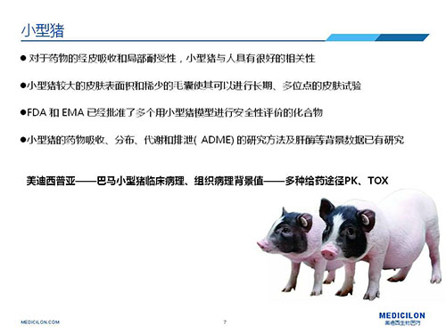 皮膚涂抹試驗中，受試動物選擇小型豬更好