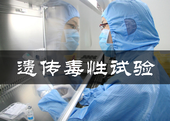 遺傳毒性試驗(yàn)
