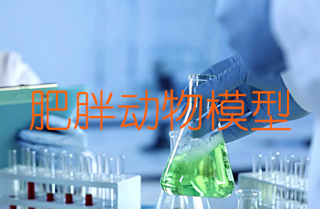 http://www.7080m.com/yao-li-xue/nei-fen-mi-dai-xie.shtml
