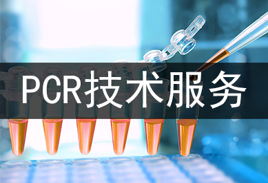 PCR技術(shù)服務(wù)