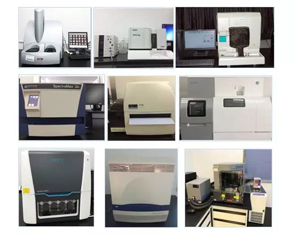 美迪西生物技術(shù)藥物分析部門(mén)擁有SpectraMaxM4/M5/i3x, MSD, Luminex, Biacore 8K, Envision, Gyrolab，ABI7500 qPCR等全方位多功能的技術(shù)平臺(tái)，利用LIMS系統(tǒng)實(shí)施全面的實(shí)驗(yàn)室信息化管理，提供全面符合FDA/CFDA/OECD GLP規(guī)范要求的生物技術(shù)藥物分析服務(wù)。