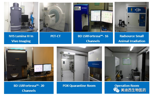 美迪西藥理部擁有IVIS Lumina III, PET-CT, BD LSRFortessa-16, Flow Cytometry等儀器，提供符合申報(bào)，支持臨床試驗(yàn)的藥效評(píng)價(jià)服務(wù)。
