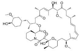 雷帕霉素新制劑用于罕見病，獲4500萬美元融資