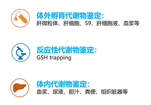 支持新藥發(fā)現(xiàn)及申報(bào)的MetID研究