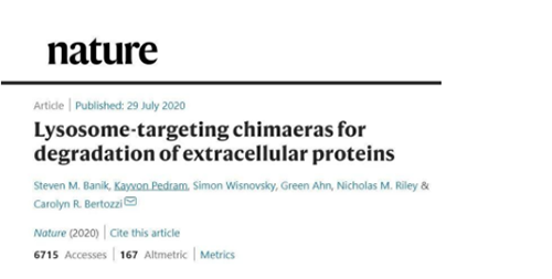 一種不同的蛋白降解技術(shù)——溶酶體靶向嵌合體（lysosome-targeting chimaeras, LYTACs）