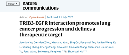 Nature|非小細(xì)胞肺癌治療新方案：靶向降解EGFR