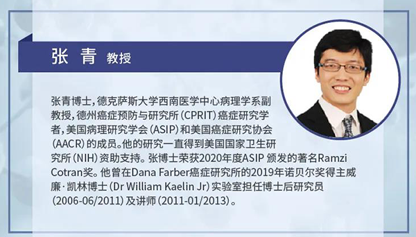 直播預告|諾獎實驗室講師張青教授做客美迪西云講堂，揭示乳腺癌和腎癌治療新靶點