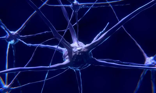 研究首次表明，與年齡有關(guān)的認知喪失可能主要是由一種可逆的生理性“阻滯”而不是永久性的降解引起的。
