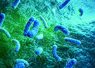 【Nature】無(wú)懼細(xì)菌耐藥性的新型抗生素誕生了！