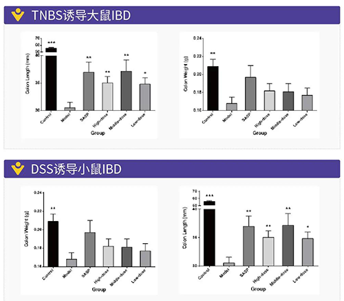 TNBS誘導(dǎo)的大鼠IBD、DSS誘導(dǎo)的大鼠IBD