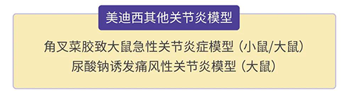 美迪西的其他關(guān)節(jié)炎模型