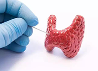 【Science速遞】揭開甲狀腺的神秘面紗，開啟代謝藥物新征程