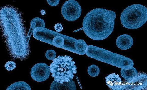 20分鐘，大多數(shù)細菌都可以繁衍一代 美迪西生物醫(yī)藥