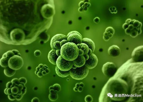 1分鐘，全中國就有7.5人被確診為患癌 美迪西生物醫(yī)藥