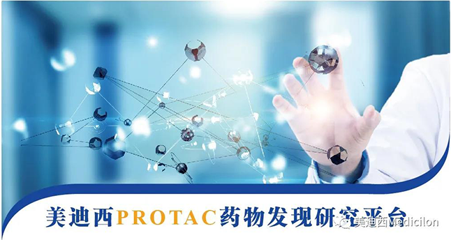 美迪西PROTAC藥物發(fā)現(xiàn)研究平臺