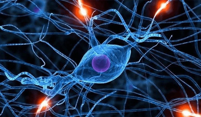 美迪西助力璃道醫(yī)藥靶向瞬時受體電位通道的小分子抑制劑LDS片獲批臨床