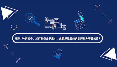 在ELISA實驗，如何制備分子量小、免疫原性弱的多肽藥物分子的抗體？