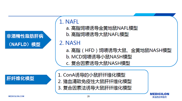 NASH動(dòng)物模型