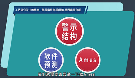 工藝研究關(guān)注的焦點(diǎn)：潛在的基因毒性雜質(zhì)