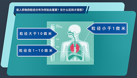 吸入藥物的粒徑分布為何如此重要？在什么區(qū)間才理想？