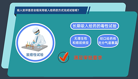 吸入安評是否全程采用吸入給藥的方式完成試驗呢？
