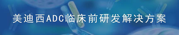 美迪西ADC臨床前研究解決方案.png