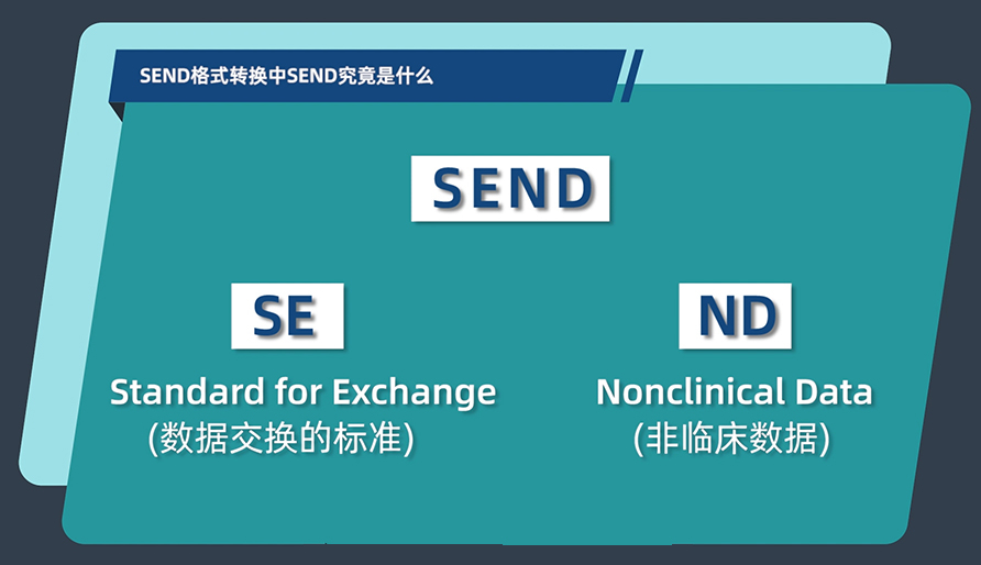 SEND格式轉(zhuǎn)換中的SEND究竟是什么？