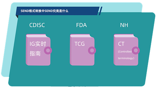 SEND的構(gòu)成.jpg