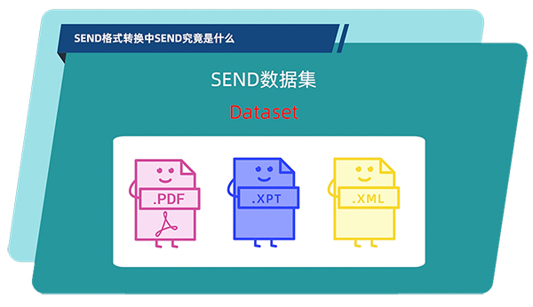 SEND數(shù)據(jù)集的構(gòu)成.jpg