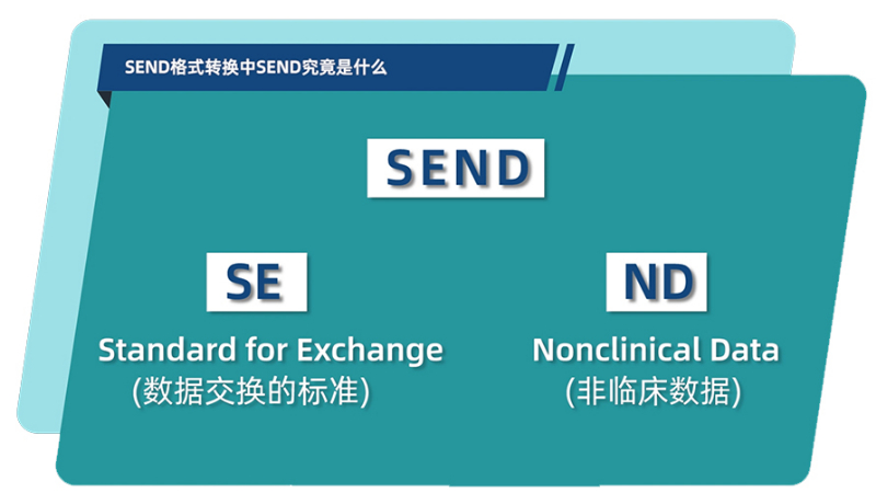 SEND格式轉(zhuǎn)換中的SEND究竟是什么.jpg